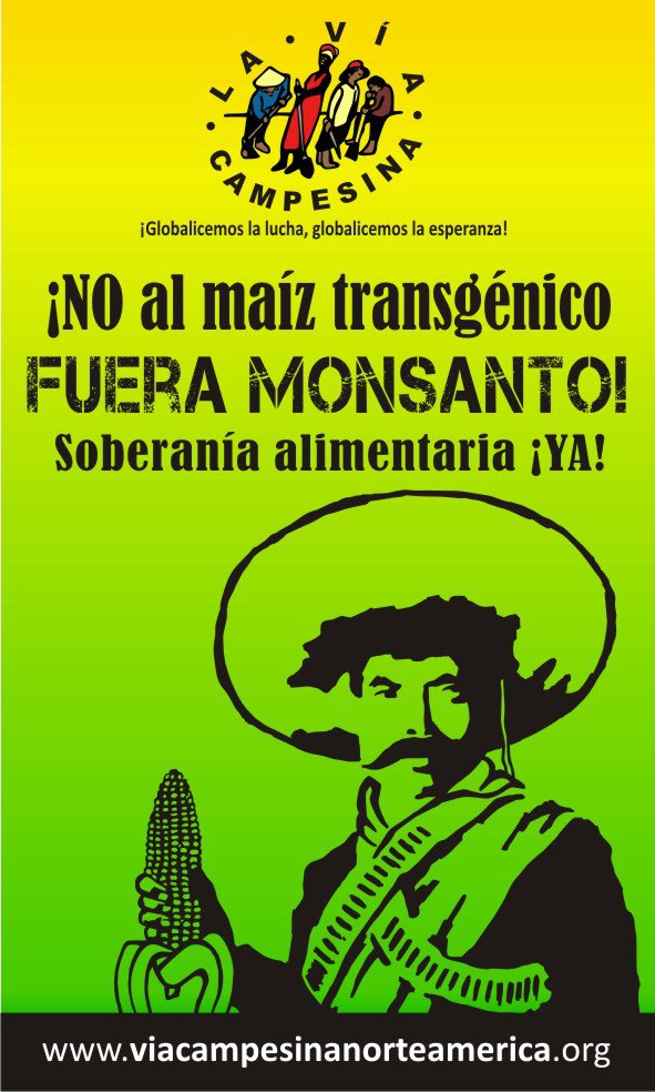 The Maize Manifesto: No to GMO Maiz